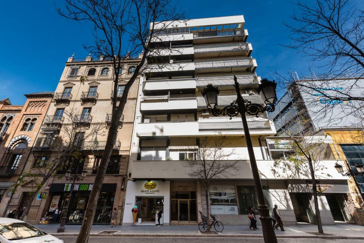Loft Campana Ii Donkey Appartement